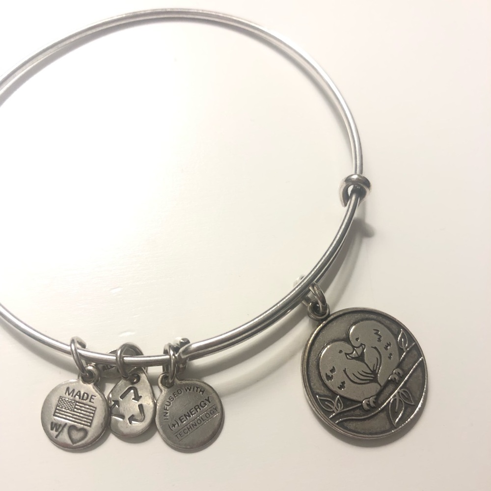 Alex and Ani Original 2014 Charm Bracelet